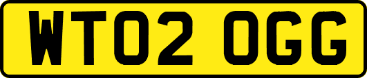 WT02OGG