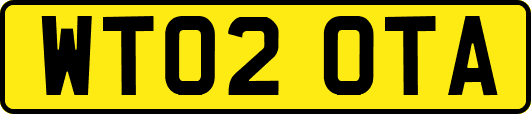 WT02OTA