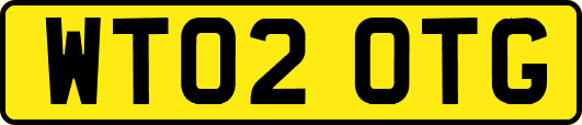 WT02OTG