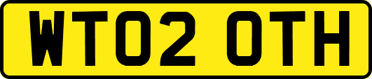 WT02OTH