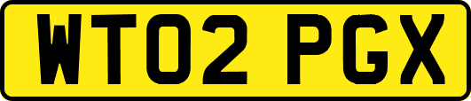 WT02PGX
