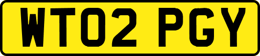 WT02PGY