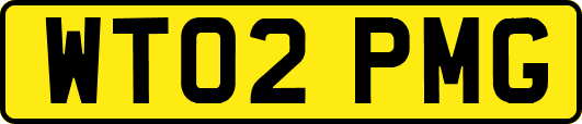 WT02PMG