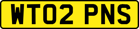 WT02PNS