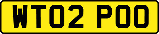 WT02POO