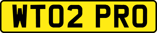 WT02PRO