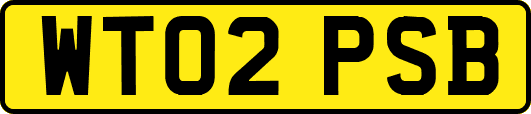 WT02PSB