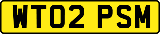 WT02PSM