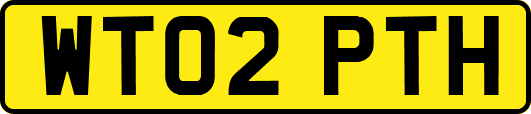 WT02PTH