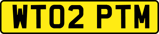 WT02PTM