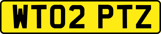 WT02PTZ