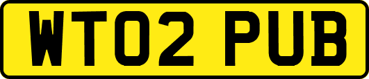 WT02PUB