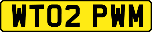 WT02PWM