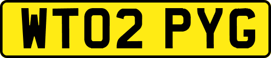 WT02PYG