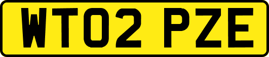 WT02PZE