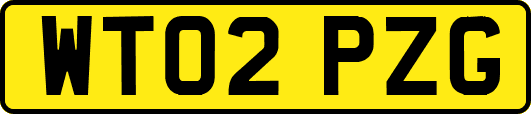 WT02PZG