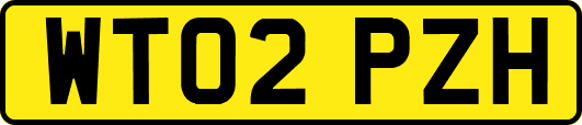 WT02PZH
