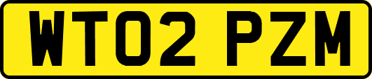 WT02PZM