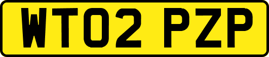WT02PZP