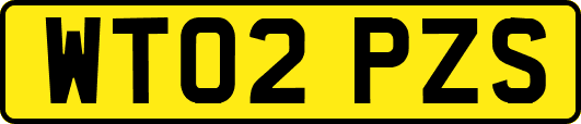 WT02PZS