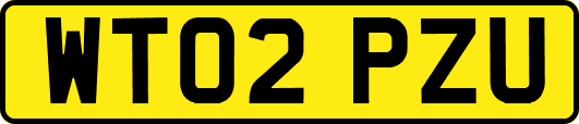WT02PZU