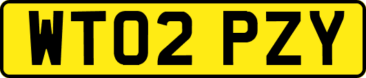 WT02PZY