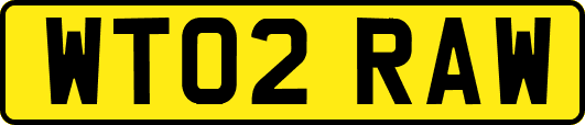 WT02RAW