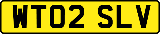 WT02SLV