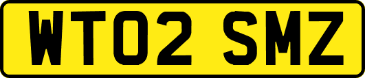 WT02SMZ