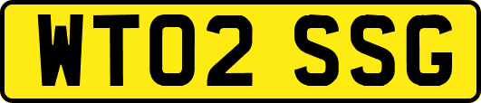 WT02SSG