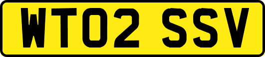 WT02SSV