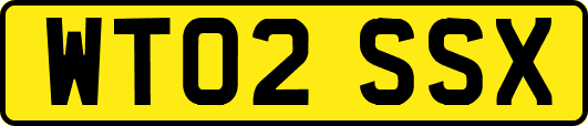 WT02SSX