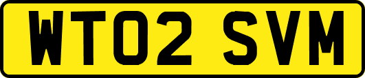 WT02SVM