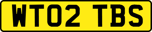 WT02TBS
