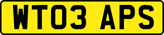 WT03APS