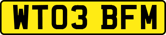 WT03BFM