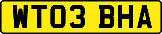 WT03BHA