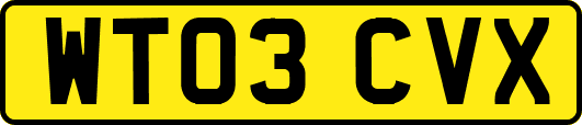 WT03CVX