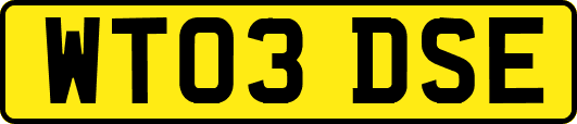 WT03DSE