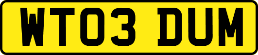 WT03DUM
