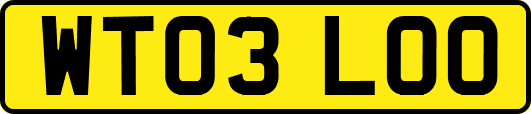 WT03LOO