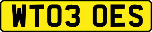 WT03OES