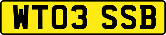 WT03SSB