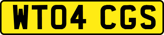WT04CGS