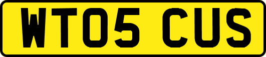 WT05CUS