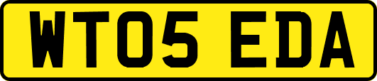 WT05EDA