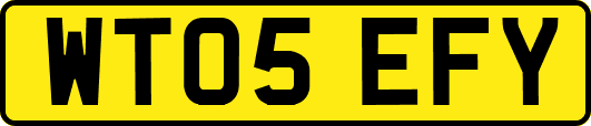 WT05EFY
