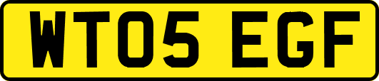 WT05EGF