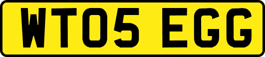 WT05EGG