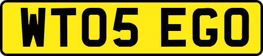 WT05EGO